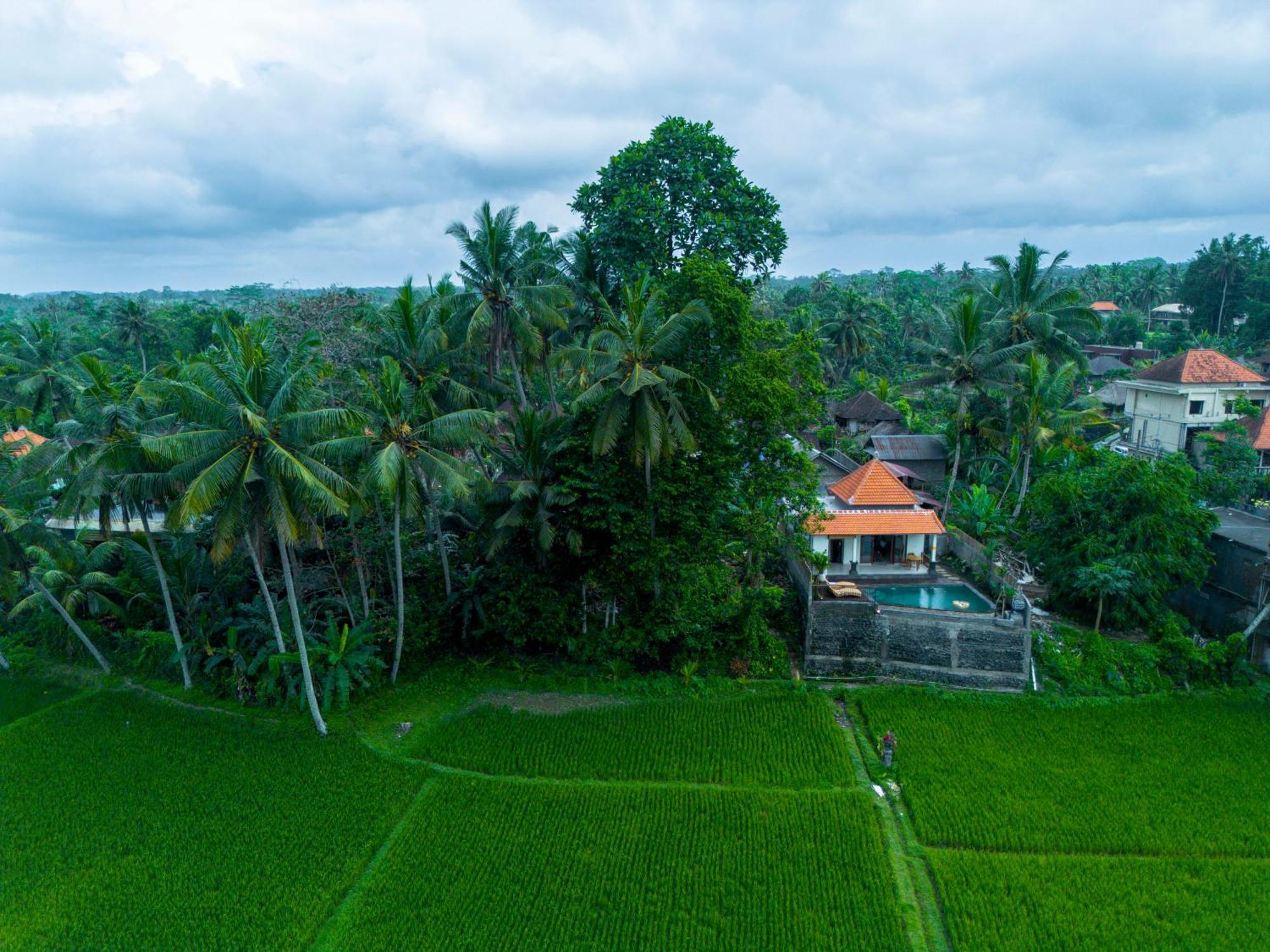 Jatining Ubud Villa & Spa 외부 사진
